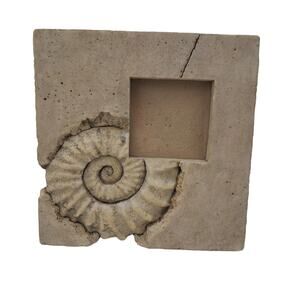 Beachcore Photo Frame Annomite Fossil Shell Art Frame 8" x8" Photo 3" x 3"